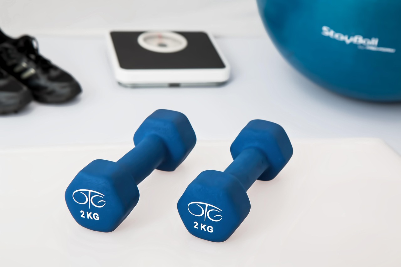 Barbells and Plates